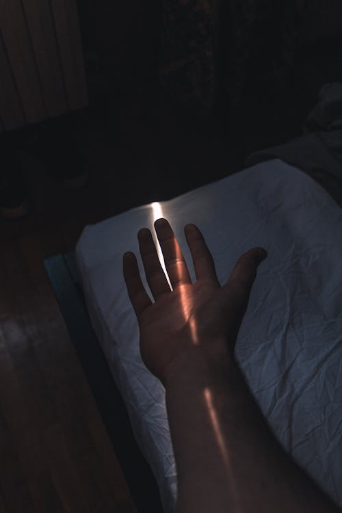 Photo of Right Human Hand