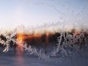 冬日清晨，玻璃上凝结着精美的霜纹