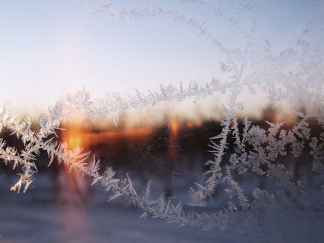 冬日清晨，玻璃上凝结着精美的霜纹