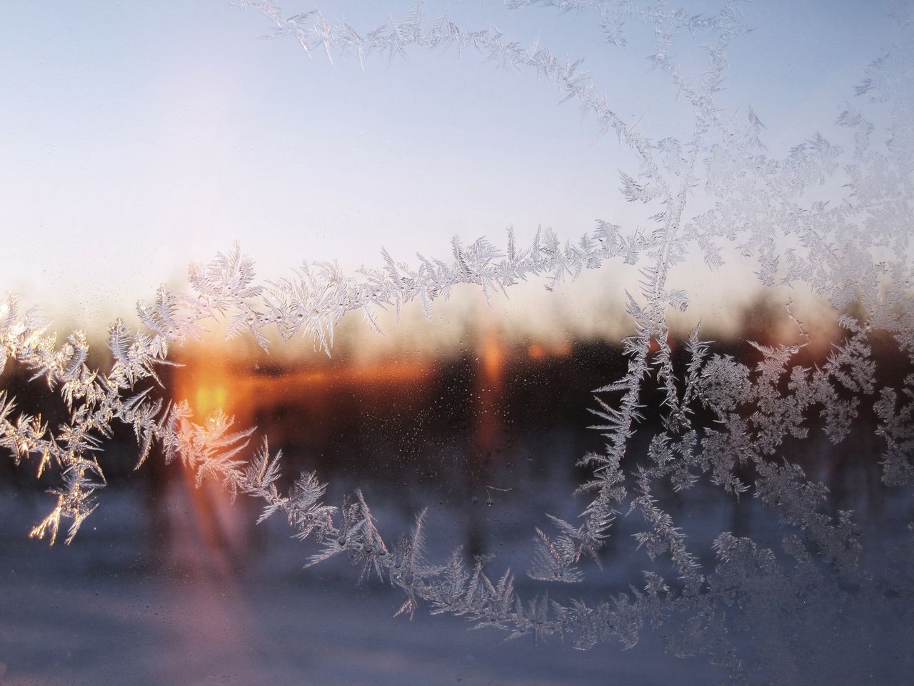delicate frost patterns on glass during a beautiful winter sunrise