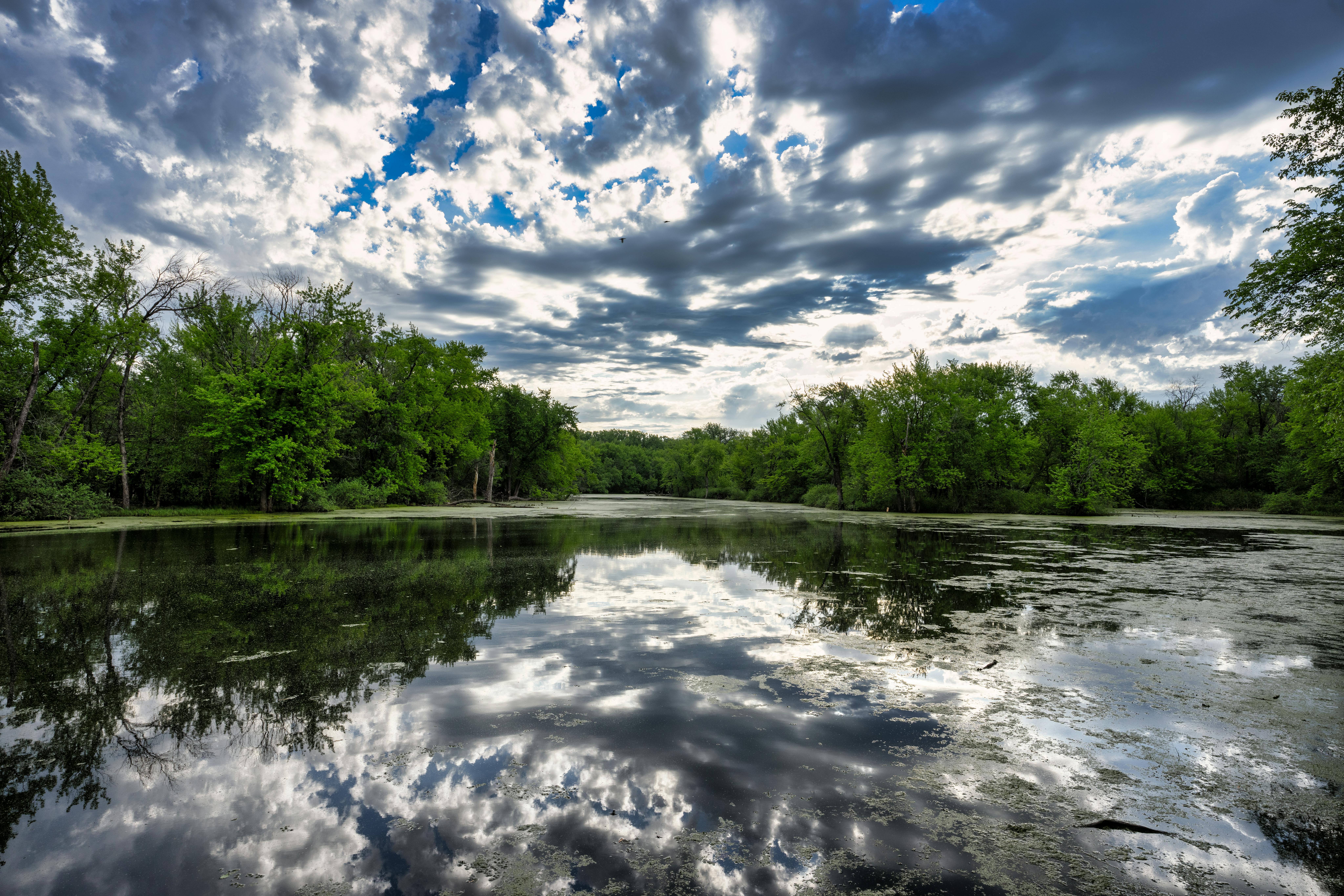 DuPage Forest Preserve executive director leaving for city manager job in Florida — Photo by Tom Fisk on Pexels