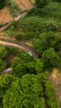 High-angle drone shot of a car on a dirt road in the lush countryside of La Orotava, Spain.