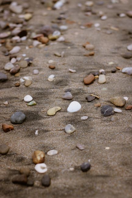 A vertical shot of various pebbles and a white shell scattered across a sandy beach.