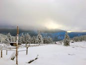 黎明时分，白雪覆盖的树木和房屋，与宁静的山间景色共同营造出冬季的宁静氛围
