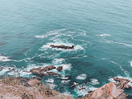 加州, 夏天, 天氣好 的 免费素材图片