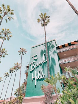 在比佛利山庄酒店晴朗的天空下，棕榈树映衬着加利福尼亚州洛杉矶的标志性奢华