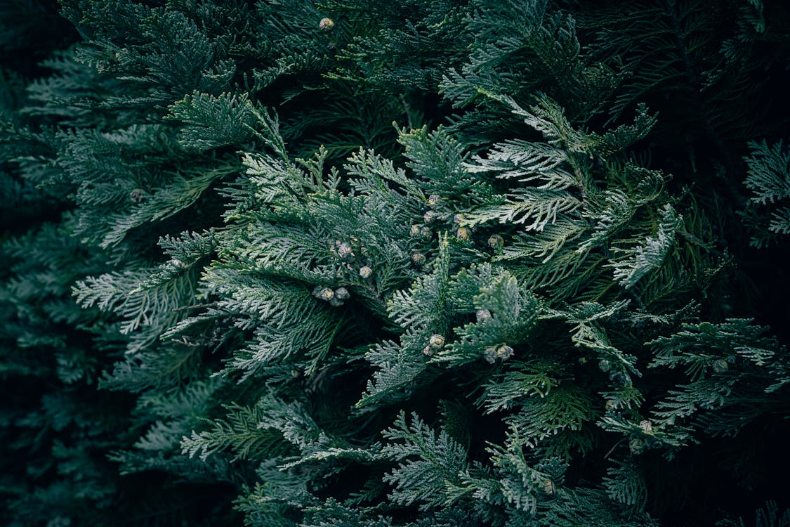 Fotobanka s bezplatnými fotkami na tému @outdoor, čerstvosť, čerstvý