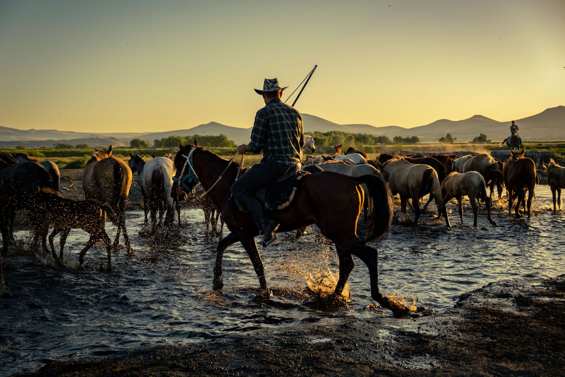 Cowboy Poetry and Rodeo Season: A Rural Nevada Culture Guide