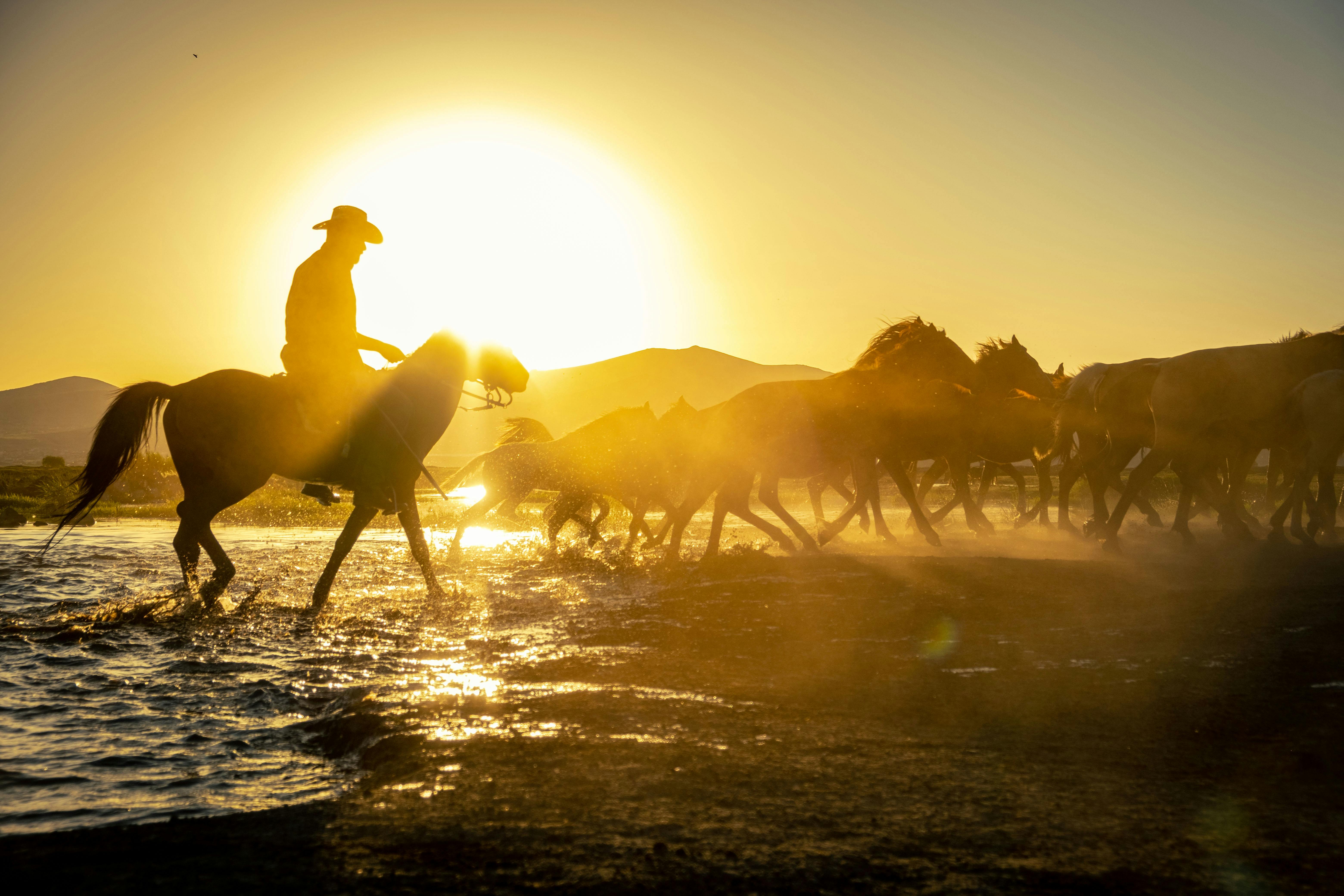 Türkiye’s population prefers Western lifestyle, survey shows — Photo by Zeynep Sude  Emek on Pexels