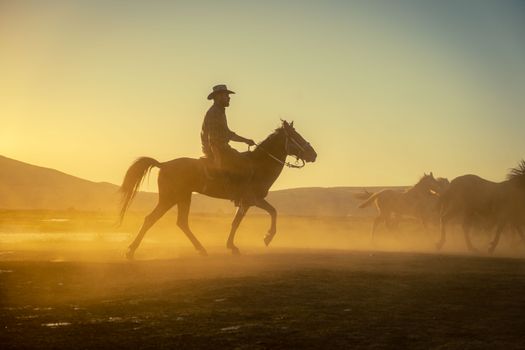 Cowboy on Horse at Sunset