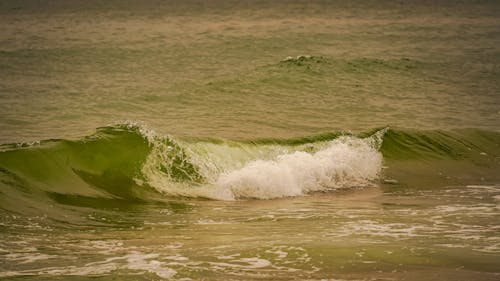 Free stock photo of coast, foam, landscape