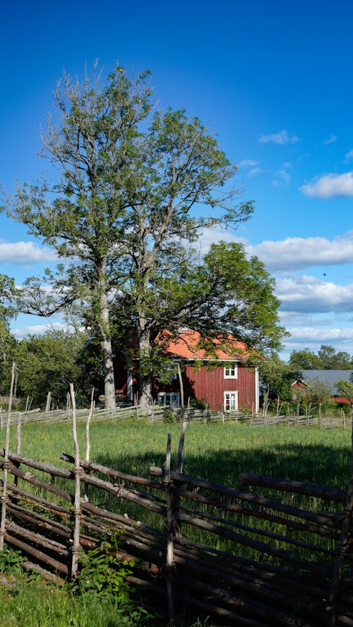 Kostenloses Stock Foto zu außerorts, bauernhof, baum