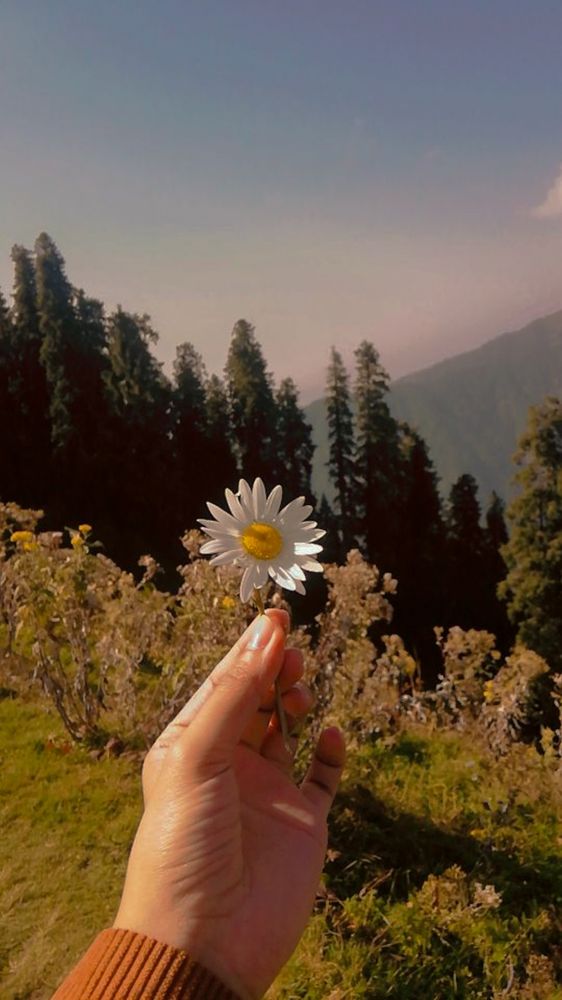 Jala Hua Photo Photos, Download The BEST Free Jala Hua Photo Stock ...