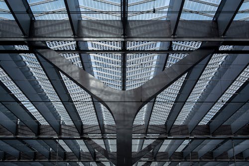 Free stock photo of architecture, ceiling, station