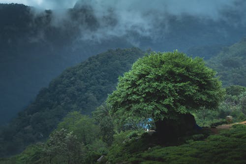 Foto profissional grátis de água, alvorecer, ao ar livre