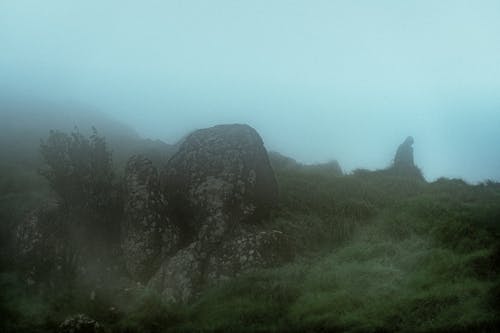 Foto profissional grátis de árvores de outono, árvores outonais, aventura na floresta