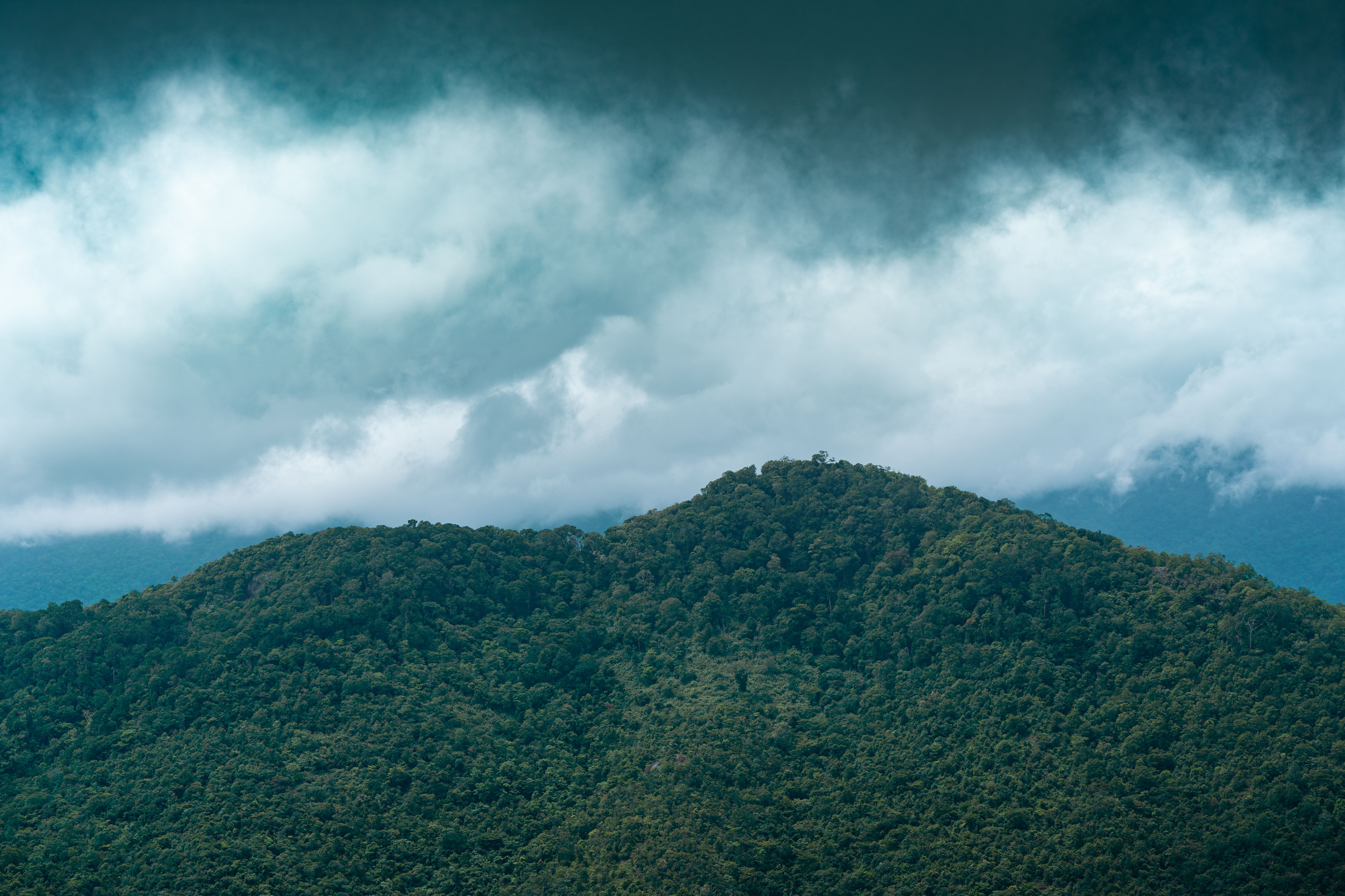 2 Day Earth Medicine: Psilocybin Trip in Santa Teresa, Costa Rica 1