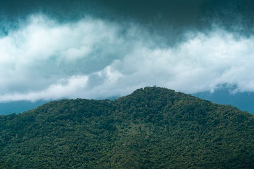 Foto profissional grátis de água, ao ar livre, árvore