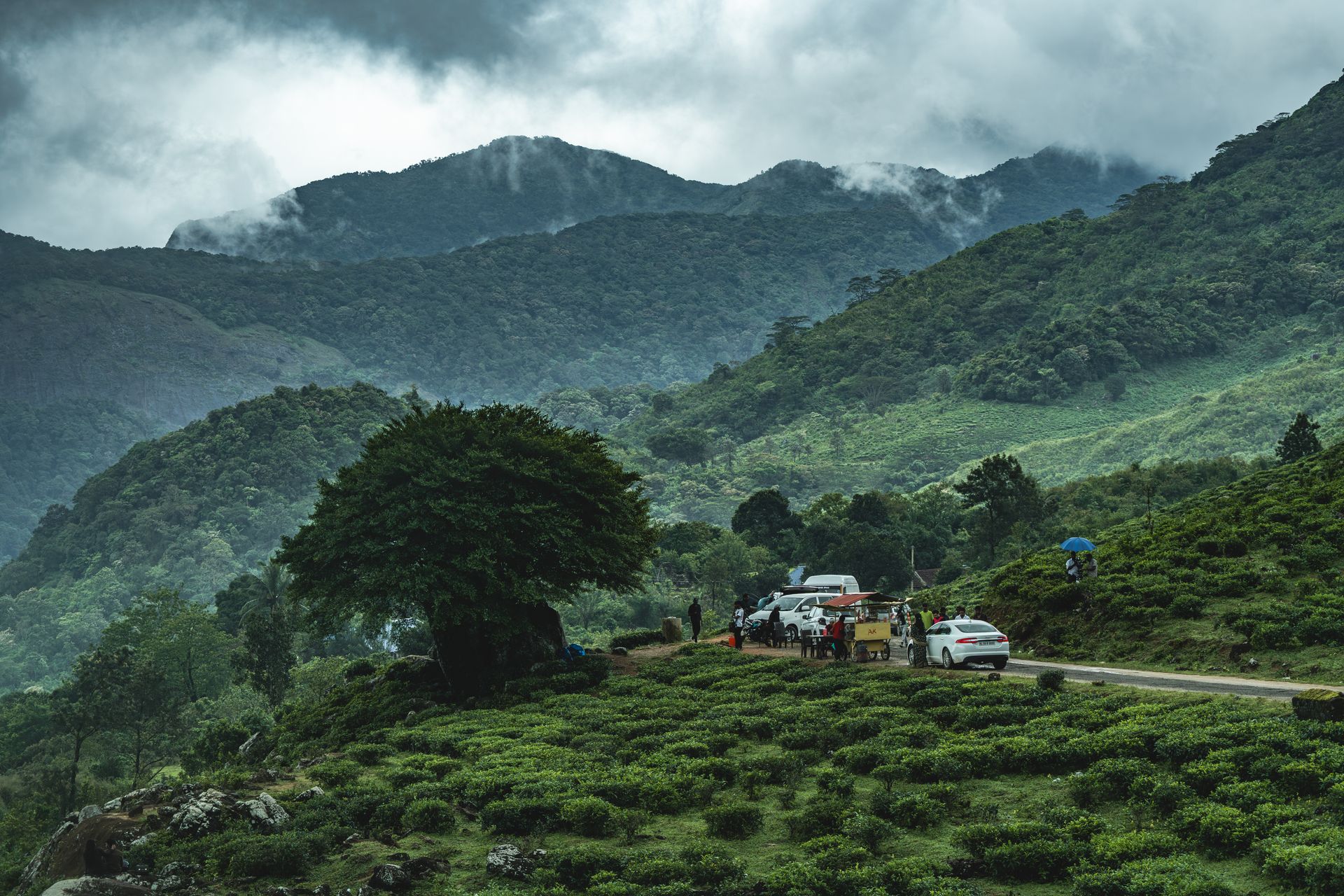 Lush green landscape of Ponmudi Hill Station, Kerala with misty mountains.