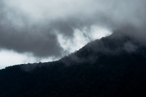 Foto profissional grátis de árvores de outono, árvores outonais, aventura na floresta