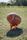 american football