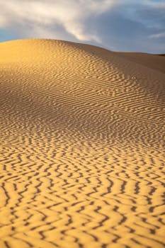 Rippling golden sand dunes under a dramatic sky in Monahans, Texas.