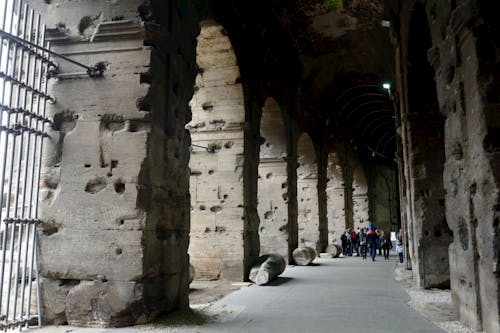 Immagine gratuita di Colosseo, finestre, italia