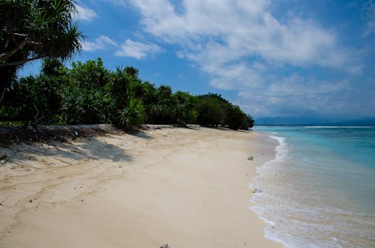 Discover a serene tropical beach with pristine sand and clear blue waters, perfect for relaxation.