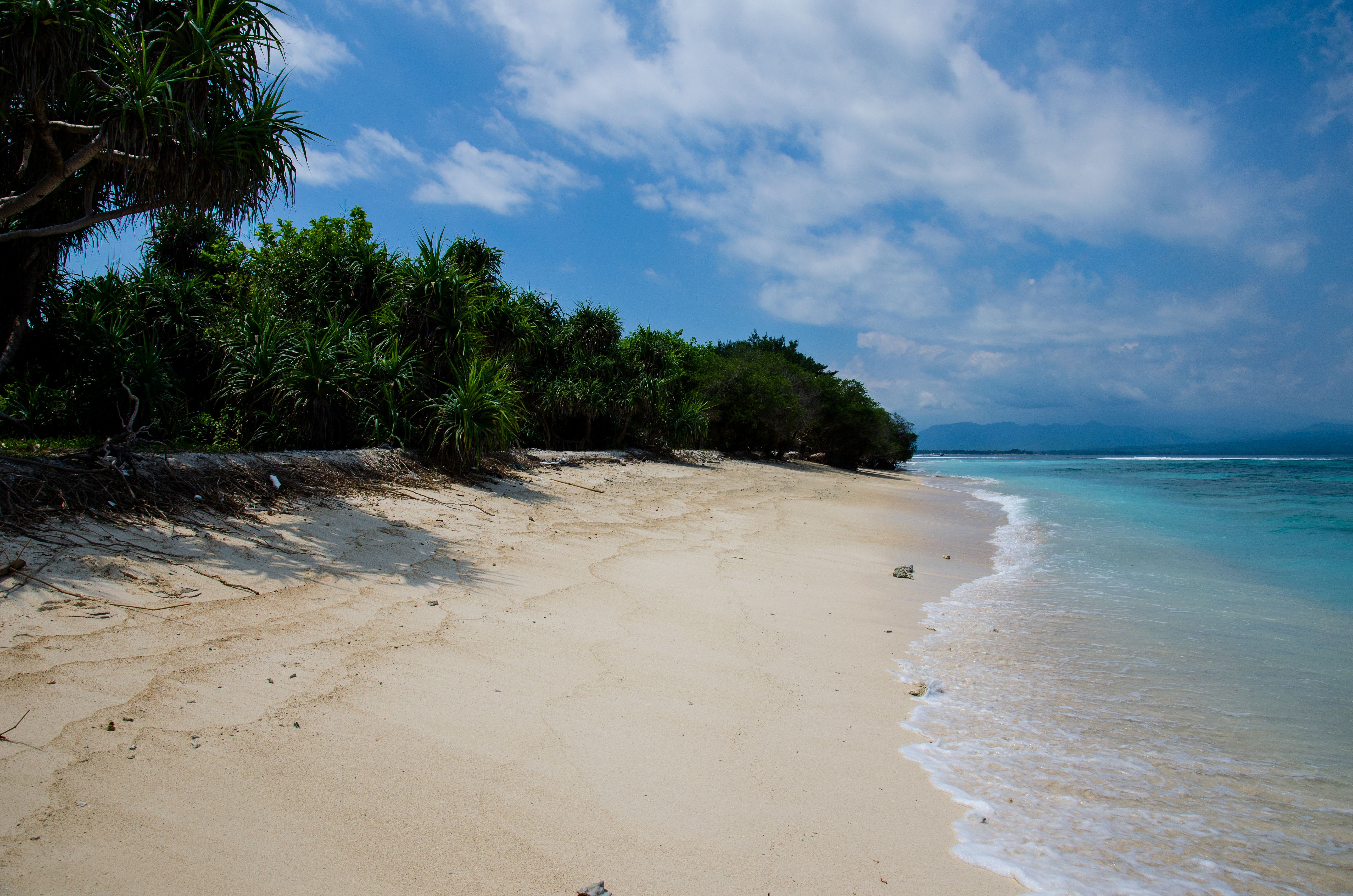 Seashore \u00b7 Free Stock Photo