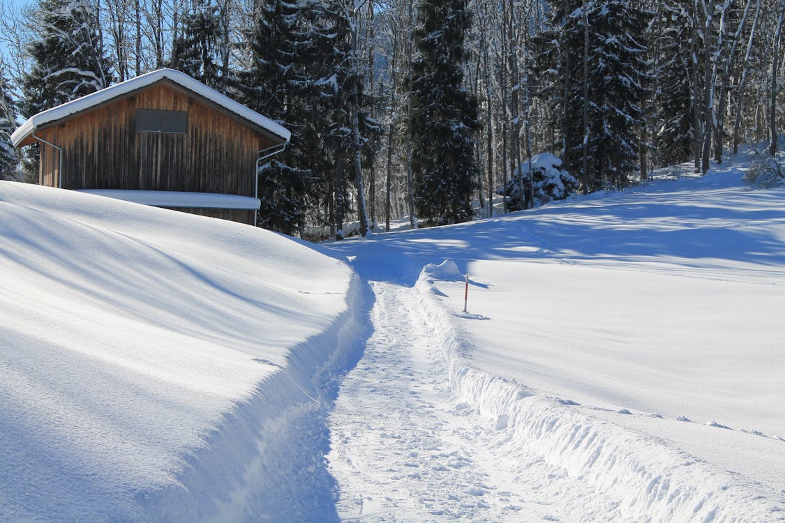 雪旁边的棕色木屋