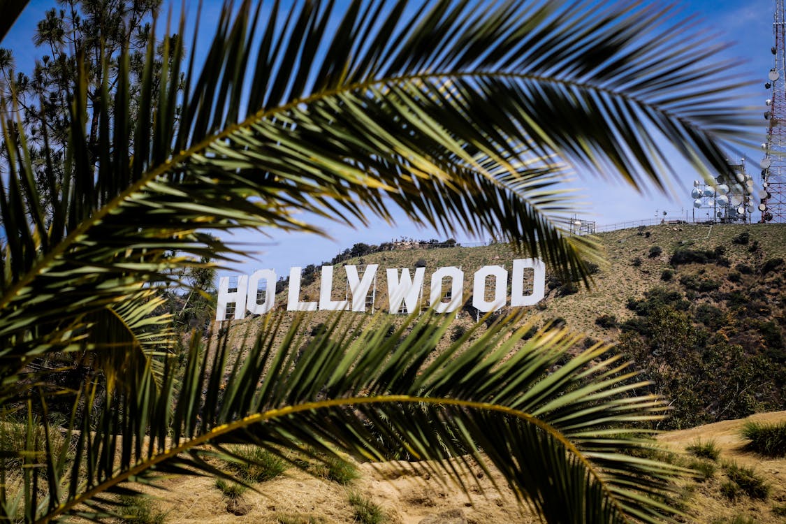Free Hollywood Sign Stock Photo