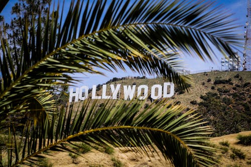 Gratis El Cartel De Hollywood Foto de stock