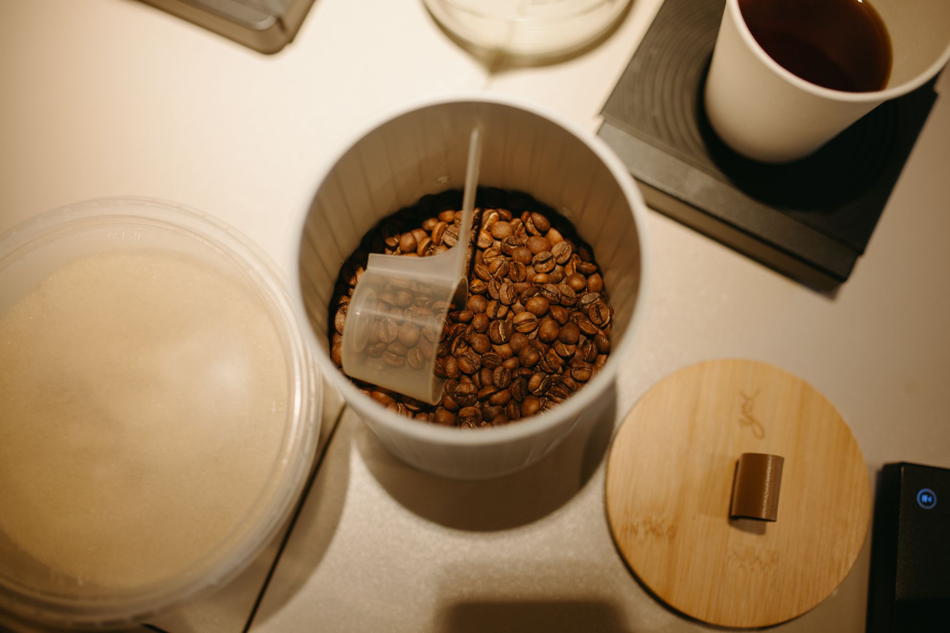 Top view of coffee beans with a measuring spoon in a container on a white counter. Perfect for coffee lovers.