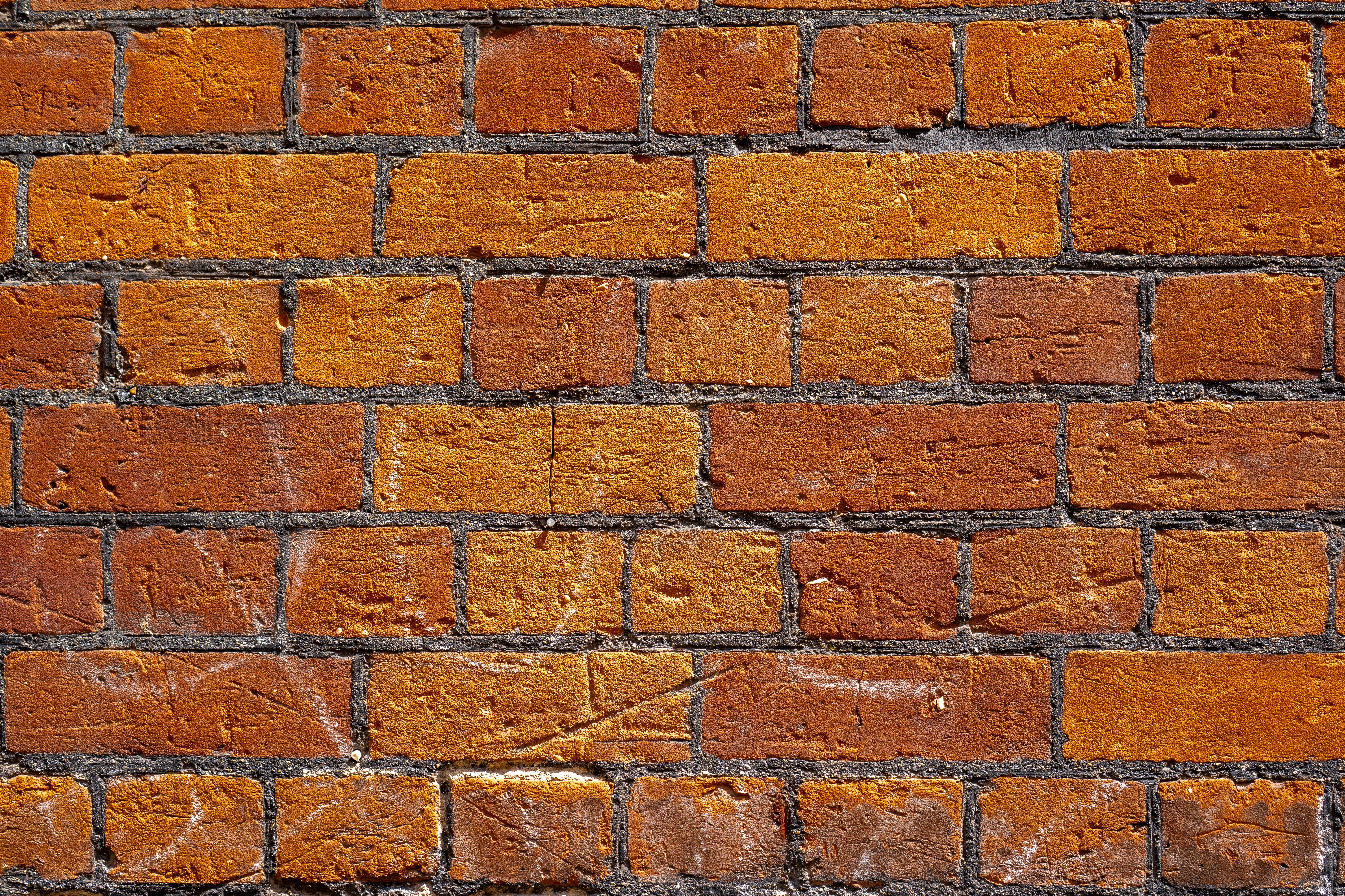 Efflorescence on Brick Wall - masonry repair near me