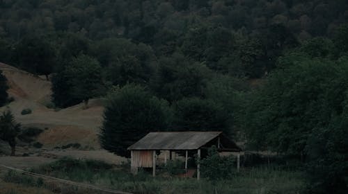 Foto d'estoc gratuïta de abandonat, bosc de muntanya, cabana de fusta