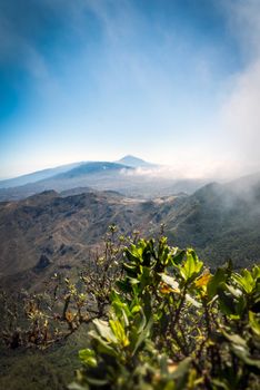 Breathtaking landscape of Teide National Park in Tenerife, featuring lush greenery and distant mountains.