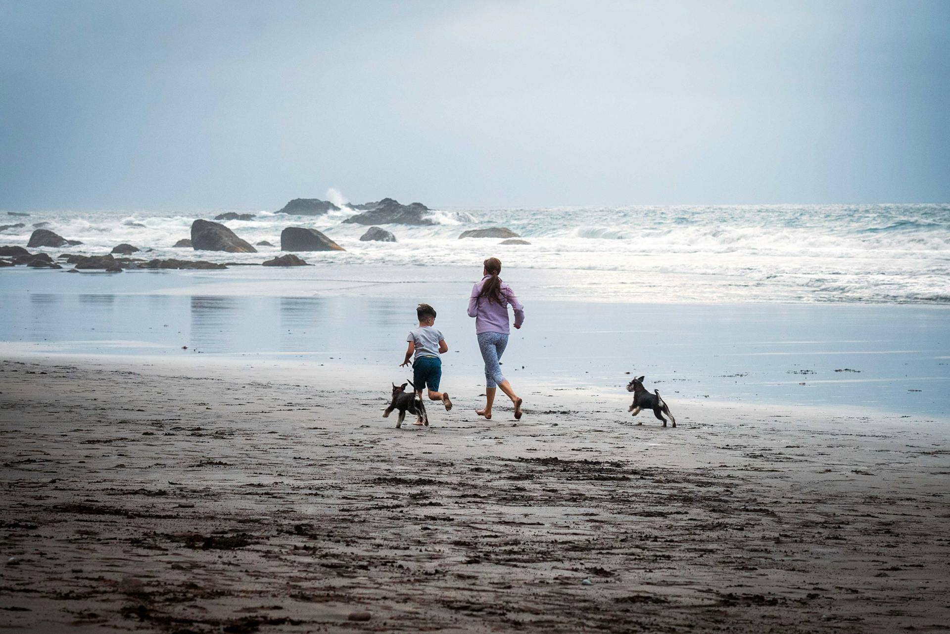 Boy and Girl Running on the Beach with Dogs