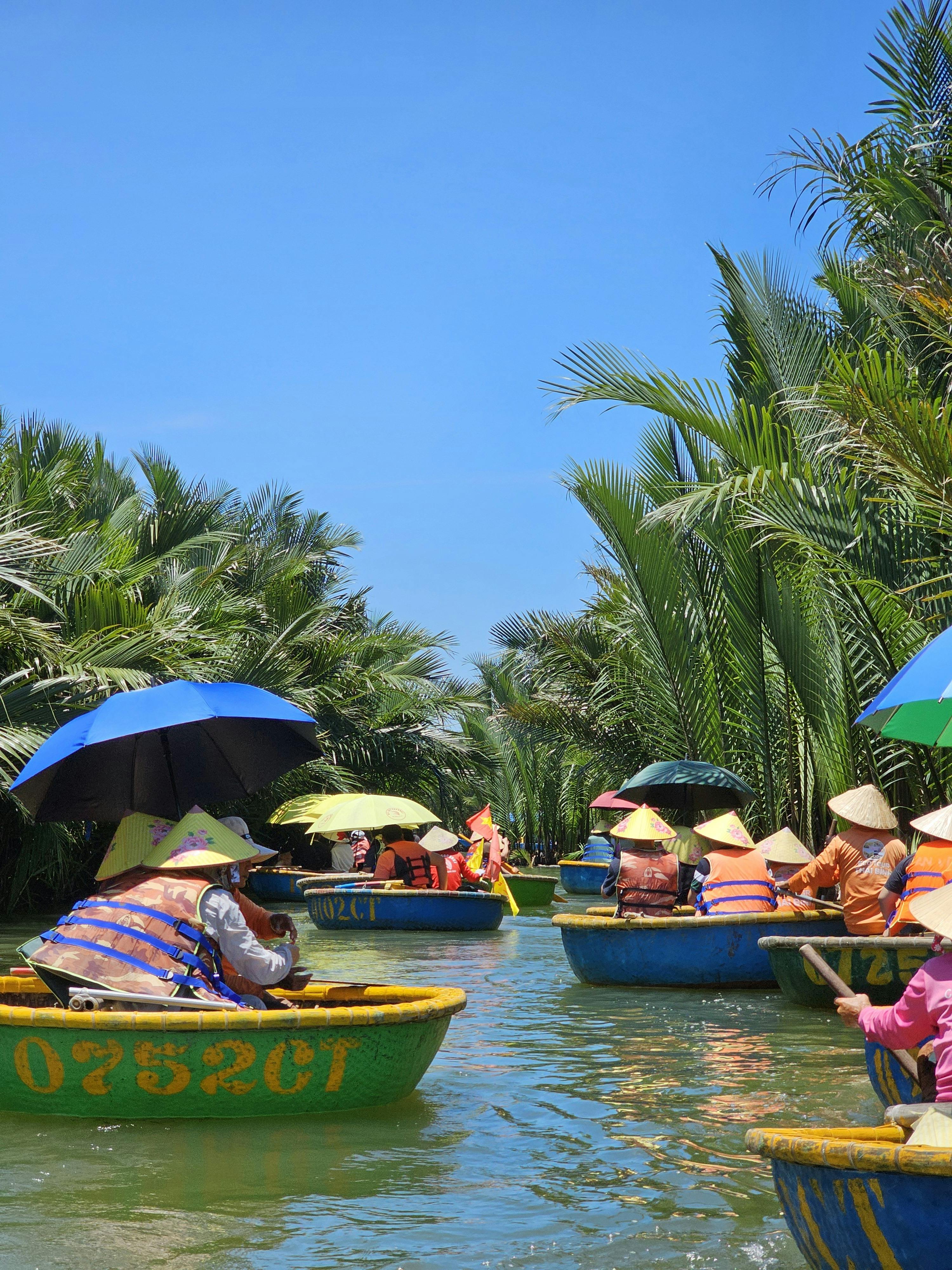 Free Rừng dừa Stock Photo