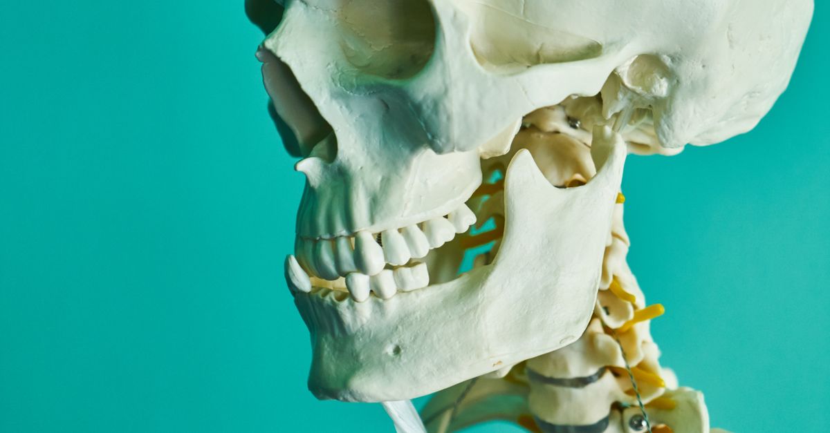 The 10 human bones and organs with evolving scientific understanding The 10 human bones and organs with evolving scientific understanding