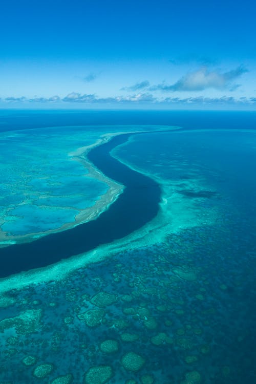 Základová fotografie zdarma na téma austrálie, australský, bariéra