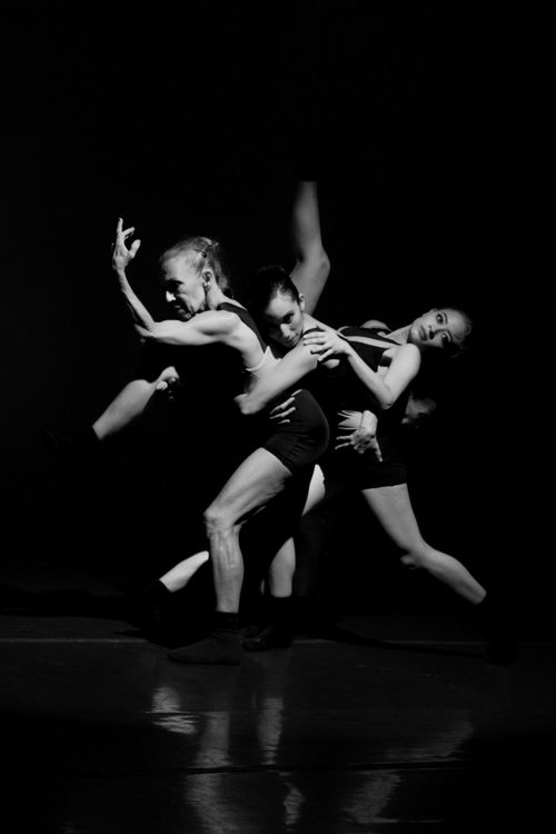 Free Dynamic black and white photo of a group of dancers performing contemporary choreography on stage. Stock Photo