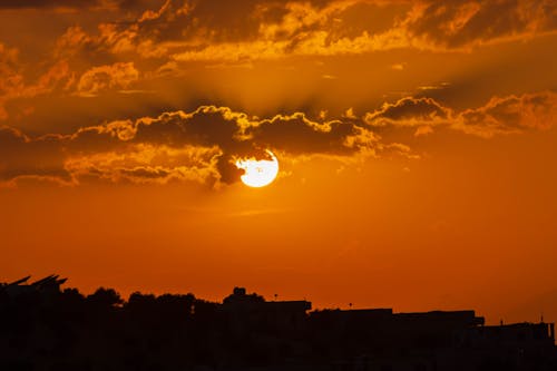 Free Silhouette Trees during Sunset Stock Photo