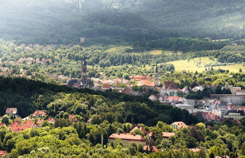 Immagine gratuita di albero, ambiente, architettura