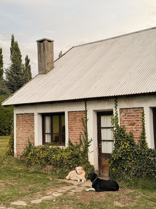 Fotos de stock gratuitas de al aire libre, arquitectura, bungalow