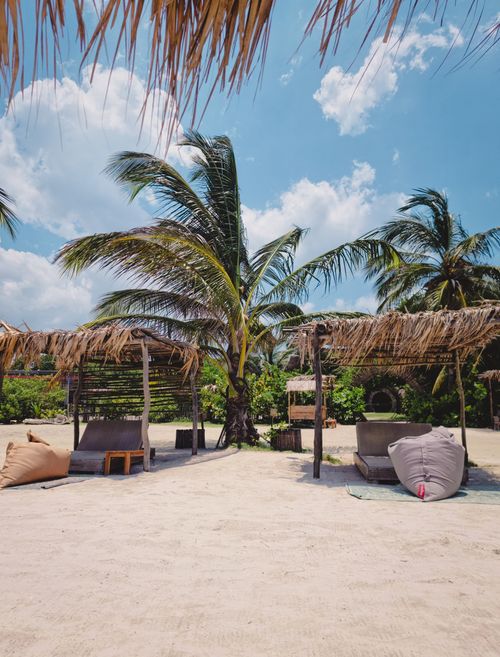 Free Relaxing tropical beach scene with palm trees and sun loungers in Cartagena, Colombia. Stock Photo