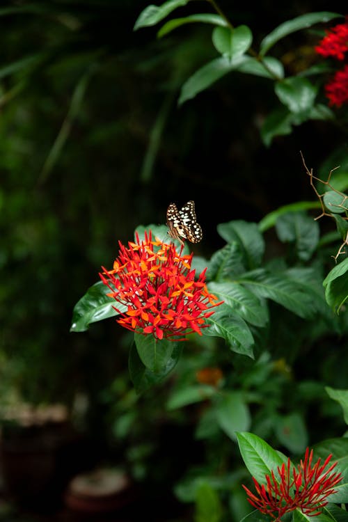 Fotos de stock gratuitas de al aire libre, bonito, brillante