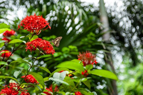 Fotos de stock gratuitas de al aire libre, amor, árbol