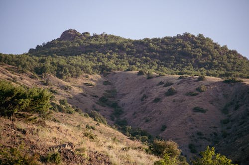 Kostenloses Stock Foto zu berg