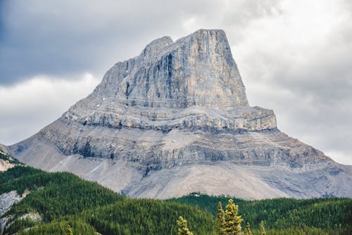 Δωρεάν στοκ φωτογραφιών με rock, βιοποικιλότητα, βιωσιμότητα