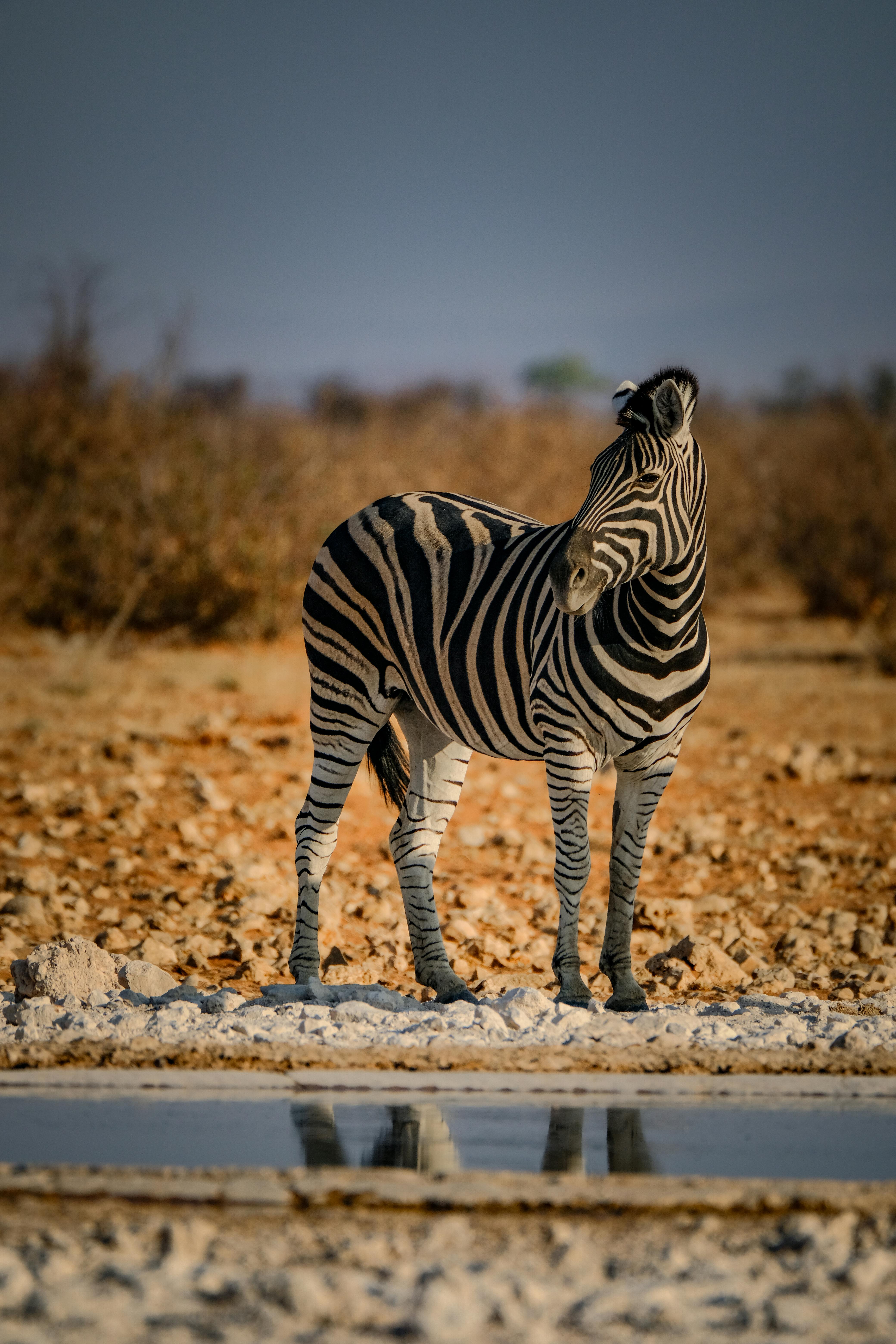 Travel Republic Africa | www.travelrepublicafrica.com | Botswana